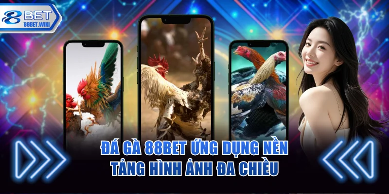 Đá gà 88BET ứng dụng nền tảng hình ảnh đa chiều