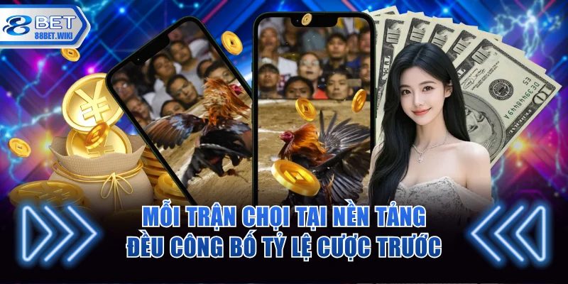 Mỗi trận chọi tại nền tảng đều công bố tỷ lệ cược trước